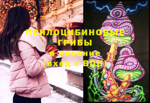 герыч Козельск