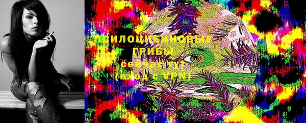 герыч Козельск