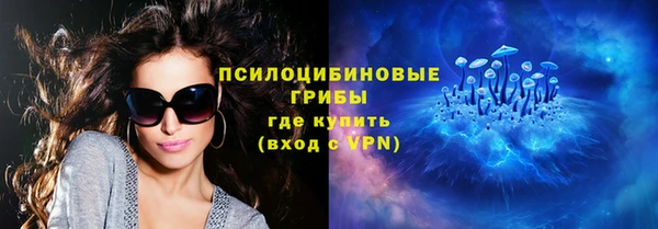 герыч Козельск